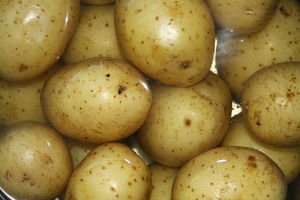 Kartoffeln: großer Einfluss auf Diabetesrisiko (Foto: pixelio.de/Georg Wrangler)