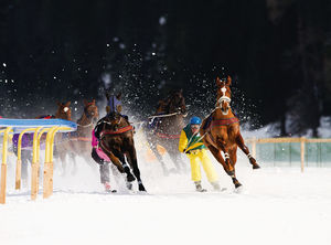 Canon - Skijöring - Winteraktion