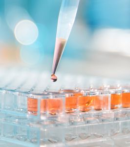 Pipette im Labor: DuPont hält an Merger-Plänen fest (Foto: dupont.com)