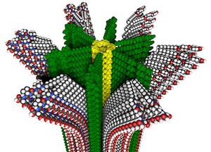 Spezial-Aufbau: Das bietet viel Potenzial (Foto: Mark E. Seniw/northwestern.edu) Spezial-Aufbau: Das bietet viel Potenzial (Foto: Mark E. Seniw/northwestern.edu)