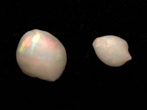 Opalisierte Perlen: weltweit einzigartiger Fund (Foto: samuseum.sa.gov.au)