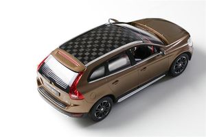 Auto: Prototyp mit nachhaltig gefertigtem Holzdach (Foto: kth.se/en)