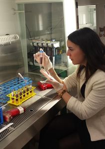 Im Labor: Wiener Forscher stellen STAT5-Hemmung infrage (Foto: Petra Kudweis)