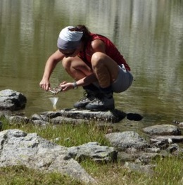 Forscherin bei der Arbeit: Bivalvia unbedingt bewahren (Foto: ise.cnr.it)