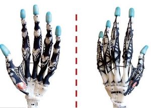 Roboter-Hand: extrem nah an menschlicher Hand (Foto: washington.edu)