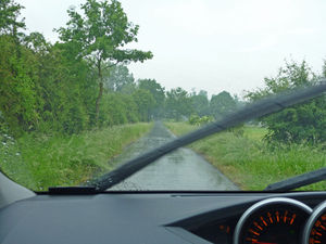 Autofahrt im Regen: Rasen unerwünscht (Foto: pixelio.de/Erich Westendarp)