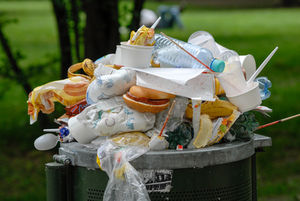Essen im Müll: Herausforderung für Ketten (Foto: pixelio.de, Sandor Somkuti)