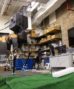 Marsch: Roboter auf Unebenheiten (Foto: Evan Dougherty, Michigan Engineering)
