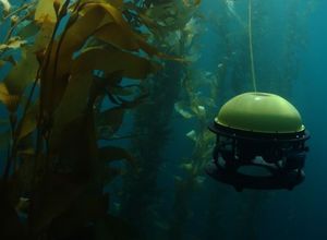 Abgetaucht: die ''SeaDrone'' im Einsatz unter Wasser (Foto: seadronepro.com) Abgetaucht: die ''SeaDrone'' im Einsatz unter Wasser (Foto: seadronepro.com)