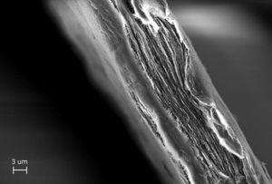 Mille-Feuille-Filter: feinste Nanofaser-Schichten (Foto: Simon Gustafsson)