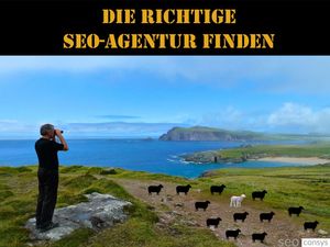 SEO-Agentur finden (Foto: SEOConsys)