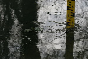 Wasserstand: App-Nutzer helfen bei Frühwarnung (Foto: pixelio.de/E. Kopp)