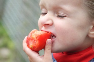 Essen: gesündere Optionen statt Kritik gefragt (Foto: Steffi Pelz/pixelio.de)