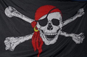 Piraten: Können Domains leichter verlieren (Foto: Dieter Schütz, pixelio.de)