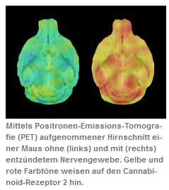 Bessere Visualisierung (Foto: ethz.ch)