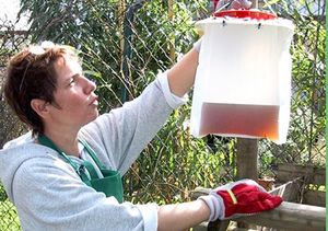 Fängt Fliegen per Lockstoff und Reuse (Foto: Feldner GmbH)