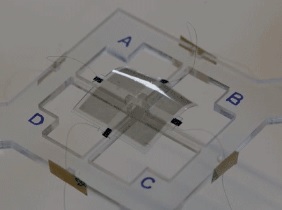 Elastomer: breites Bewegungsspektrum (Foto: seas.harvard.edu/Mishu Duduta)