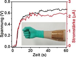 Umwandlung von Körperwärme in elektrische Energie (Foto: Wiley-VCH)