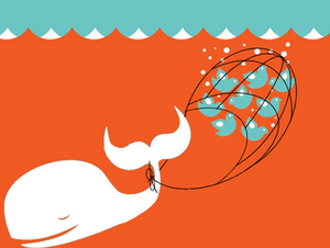 Twitter: Kleine User sollen Twitter retten (Foto: flickr.com/Bernard Goldbach) Twitter: Kleine User sollen Twitter retten (Foto: flickr.com/Bernard Goldbach)