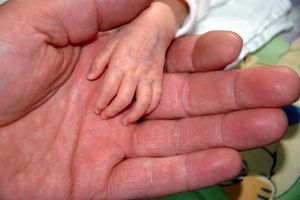 Frühchen: Auswirkungen auf Gesundheit (Foto: pixelio.de, N.Schmitz) Frühchen: Auswirkungen auf Gesundheit (Foto: pixelio.de, N.Schmitz)