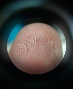Fingerabdruck: Deutsche fühlen sich sicher (Foto: pixelio.de, Harry Hautumm)