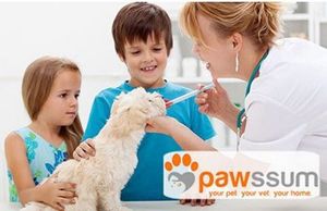 Tierarztbesuch: Doktor kommt zum flauschigen Patienten (Foto: Instagram/Pawssum)