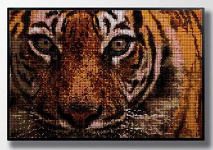 Tiger: Kunstwerk mit 52 verschiedenen Farbnuancen (Foto: color.works)