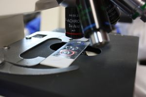 Neues Mikroskop: erforscht Innenleben von Zellen (Foto: pixelio.de, M. Gaba)