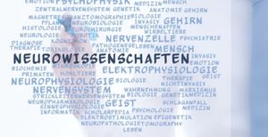 Mit dem Neuro-Navigationsgerät im Klinikum Siegen (© CrazyCloud - Fotolia.com)