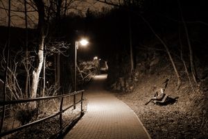 Dunkler Weg: oft kein gutes Gefühl alleine (Foto: Marco Barnebeck, pixelio.de) Dunkler Weg: oft kein gutes Gefühl alleine (Foto: Marco Barnebeck, pixelio.de)