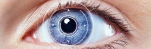 Sehverlust stoppen (© BillionPhotos.com - Fotolia.com)