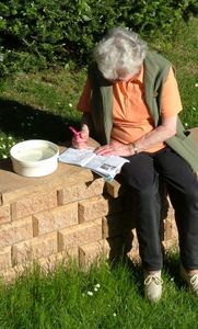 Frau beim Rätseln: Gedächtnis lässt nach (Foto: pixelio.de, Martin Schemm)