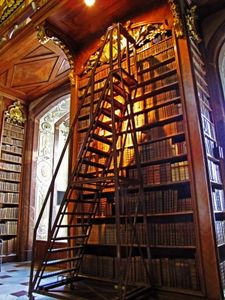 Alte Bibliothek: Bücher dienen vielen als Schutz (Foto: pixelio.de/Rainer Sturm) Alte Bibliothek: Bücher dienen vielen als Schutz (Foto: pixelio.de/Rainer Sturm)