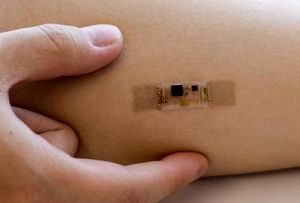 Neuer Sensor: Er wird auf der Haut getragen (Foto: colorado.edu) Neuer Sensor: Er wird auf der Haut getragen (Foto: colorado.edu)