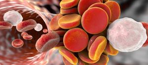 Arzt Dr. Schleef behandelt Thrombose in München (© Dr_Kateryna - Fotolia.com)