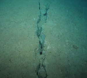 Spuren des Maule-Erdbebens am Meeresboden (Foto: ROV-Team, geomar.de)