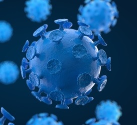 Virus: Forscher gehen Autoimmunreaktion nach (Foto: pixelio.de, Christian Daum)