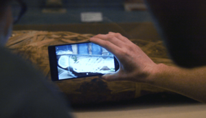 Interaktivität via Handy: Besucher röntgen Mumie (Foto: get.google.com/tango)