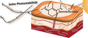 Menschliche Haut: Bald sehr gut gegen UV-Strahlen geschützt (Grafik: Wiley-VCH)