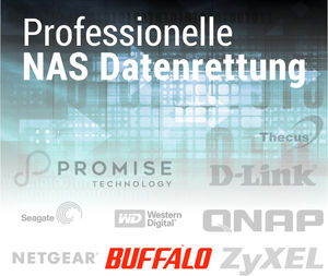 Buffalo NAS-Datenrettung (Copryight: Recovery Lab)