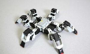 Sechsbeiniger Roboter: Neue Gangart sorgt für Aufmerksamkeit (Foto: epfl.ch)