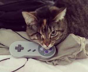 Gamer: Nicht alle sind gleich motivierbar (Foto: burnbless, flickr.com)