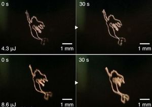 3D-Bilder: Laser formt Blasen in Flüssigkeit (Foto: utsunomiya-u.ac.jp)
