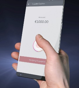 Einfach per Display: Fingerabdruck-Scan von Morgen (Foto: goodix.com) Einfach per Display: Fingerabdruck-Scan von Morgen (Foto: goodix.com)