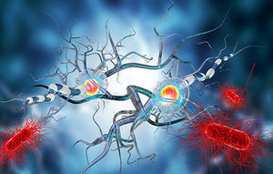 Gehirnzellen: Forscher analysieren Chorea Huntington (Foto: monash.edu)