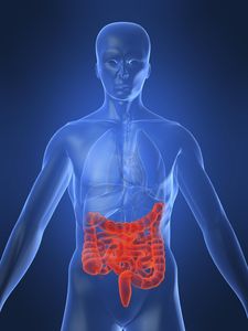 Morbus Crohn: Chronische Darmentzündung (Foto: Biodesign Institute)