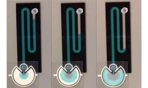 Papier-Pumpe: Wirkung in drei Phasen (Foto: Glenn Walker)