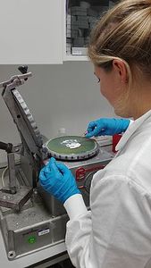 Vorbereitung einer Probe zur genauen Alterungsbestimmung (Foto: tudelft.nl)