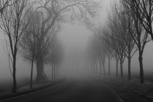 Nebel: möglicher Weg zu mehr Datensicherheit (Foto: Peter Franz, pixelio.de)