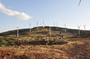 Windräder nahe Nairobi: ein sinnvoller Ansatz (Foto: Grace Wu, lbl.gov)